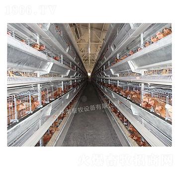 四层层叠式蛋鸡养殖设备|广州市华南畜牧设备有限公司-火爆畜牧招商网